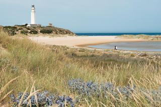 Apartamento María - 7