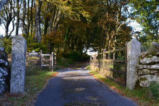 CherryBrook Wistman Suite - 1