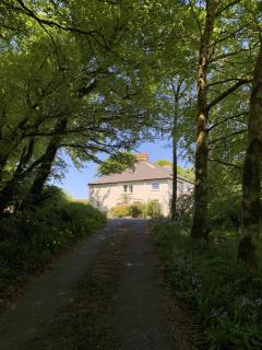 CherryBrook Wistman Suite - 9