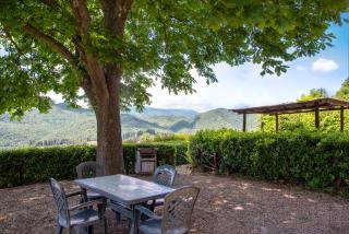 Universal Harmony - Poiana - 6