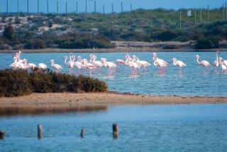 Holidoo Travel - Casa Cielo Azul - 6