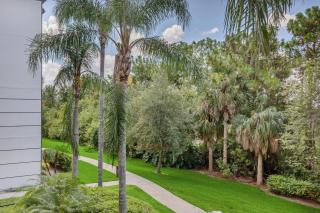 Conservation View Updated WOW - 6