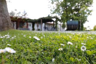 Winzerhof Düring - 7