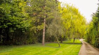 Appartement T2 au Calme - WiFi rapide, Parking & Bureau - 1