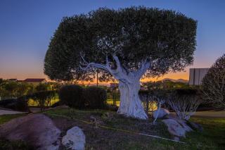 Villa Marconi Apartment 9 - 6