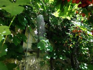 Ferienwohnung Galerie - 8