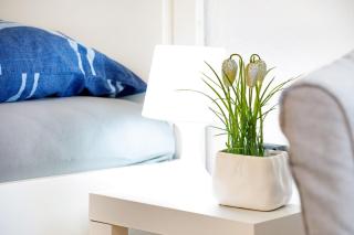 Ferienwohnung Waldblick - 8