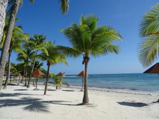 Studio climatisé avec lave-linge dans résidence avec piscine - 3