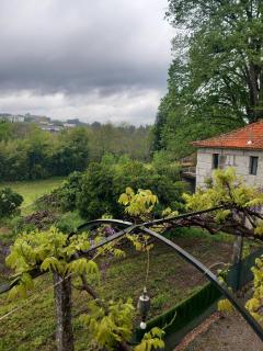 Casa de Andrães Pomar - 8