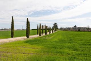 Agriturismo Casa Pezzo - 7