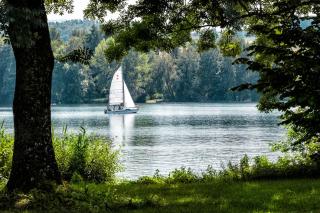 Ferienhaus Waldherr - 8