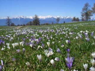 Ferienwohnung Valentin - 1