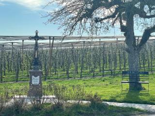 Bergchalet Mirabell - Hofgut - 9