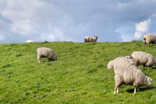 Apartment Seeadler - 8