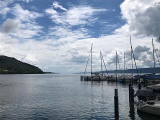 Über den Dächern von Bodman - 9