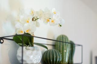 Apartment Carpe Diem - 8