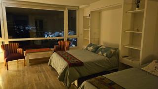 Departamento céntrico con estacionamiento y vista al lago - 3