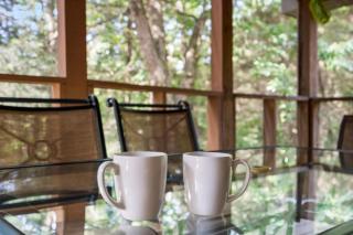 Baldknobber Ridge Escape - West Branson Cabin - 3