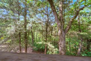 Baldknobber Ridge Escape - West Branson Cabin - 2