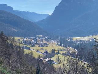 Ferienwohnung Bergliebe - 9