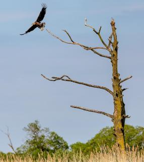 Haus an der Peene - 8