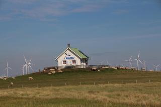 Ferienwohnung Marschblick - 9