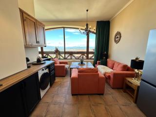 Murphys Lodge panorama apartment - 7