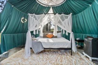 Bespoke Outdoor Bubbles - 8