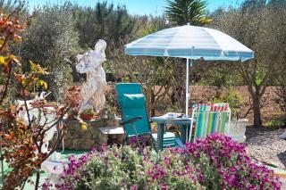 Quinta das Andorinhas - Nazaré - 8