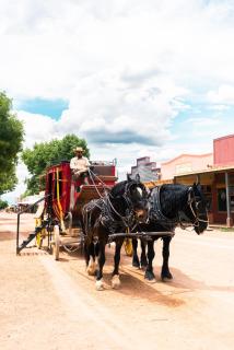 Spartan Royal Mansion - 7