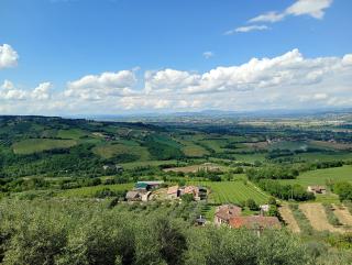 L'angolo delle More - 5