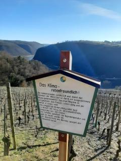 Auszeit Rheingauer Rosengasse - 7