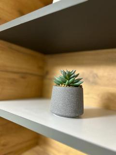 108 Lux Apartman Ravna planina - 1