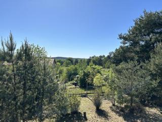 Holzhaus am Waldrand - 8