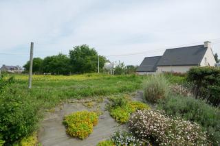 Gite 2 Le Logis des grenouilles - 1