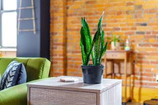 Prime Location Top Rated Clean Parking Free! - 4