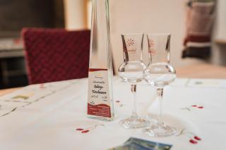 Löcherhansenhof - Bad Peterstal-Griesbach - 7