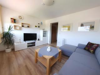 Haus Rosenfelder Fewo Abendsonne - Bernau im Schwarzwald - 6