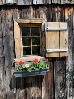 Evelyn's Hütte - Schwarzenberg im Bregenzerwald - 2