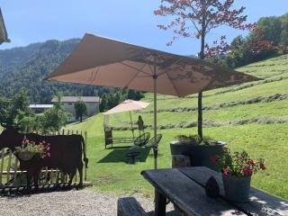 Evelyn's Hütte - Schwarzenberg im Bregenzerwald - 1