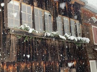 Evelyn's Hütte - Schwarzenberg im Bregenzerwald - 3