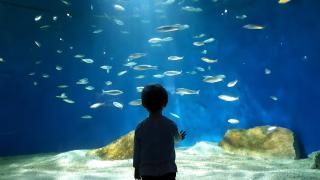 Appartement Le Saint-François - 9