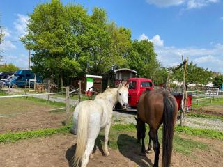 Roulotte la casetta Rita - 9