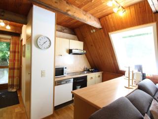 Twistesee Ferienhaus 36 - 8