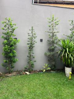 BBS · Casa com Terraço - 5