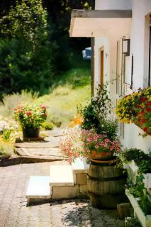 Ferienwohnung Bästenbach - Bad Peterstal-Griesbach - 3