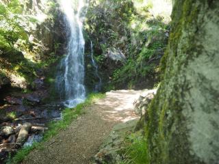 Ferienwohnung Schwarzwaldfeder - 8