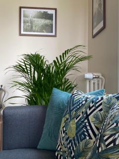 Le Joli Paillé - Appartement Bleuet - 5