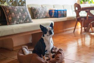 Dimora Il Feudo - Predazzo - 3