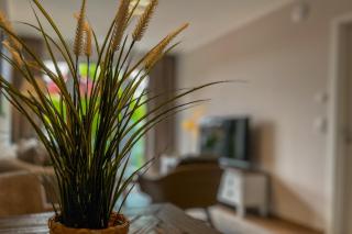 Baltischer Hof Wohnung 30 - 4